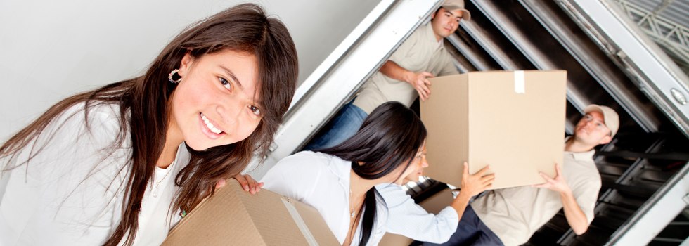 Professional Removalists The Range QLD